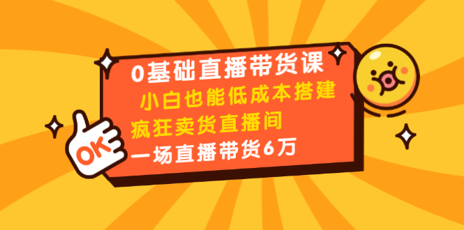 0基础直播带货课：小白也能低成本搭建疯狂卖货直播间：1场直播带货6万-如意资源库