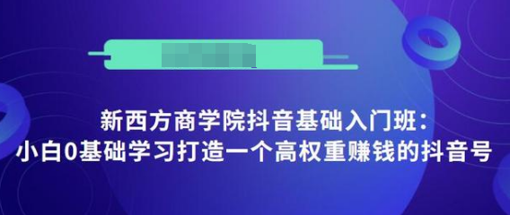 抖音基础入门班：小白0基础学习打造一个高权重赚钱的抖音号-如意资源库