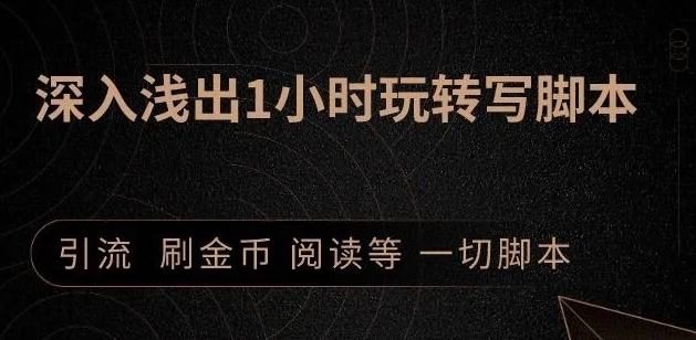 引流脚本实战课：1小时深入浅出视频实操讲解，教你0基础学会写引流脚本-如意资源库