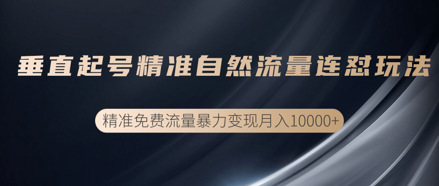 垂直起号精准自然流量连爆玩法，精准引流暴力变现月入10000+-如意资源库