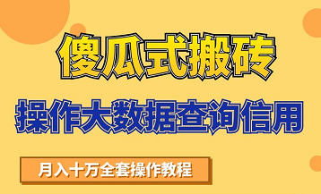 搬砖操作大数据查询信用项目赚钱教程，祝你快速月入6万-如意资源库