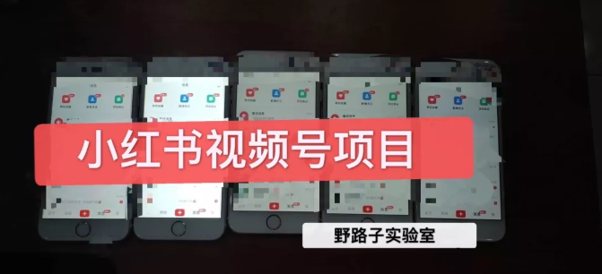 野路子小红书视频号1.0项目，直接上手操作就能赚钱的视频号项目-如意资源库