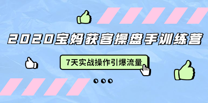 2020宝妈获客操盘手训练营：7天实战操作引爆 母婴、都市、购物宝妈流量-如意资源库
