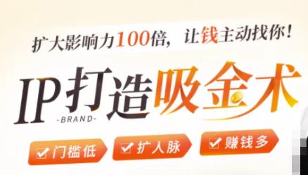 IP打造吸金术：0基础0资源，也能扩大影响力100倍，让钱主动找你！-如意资源库