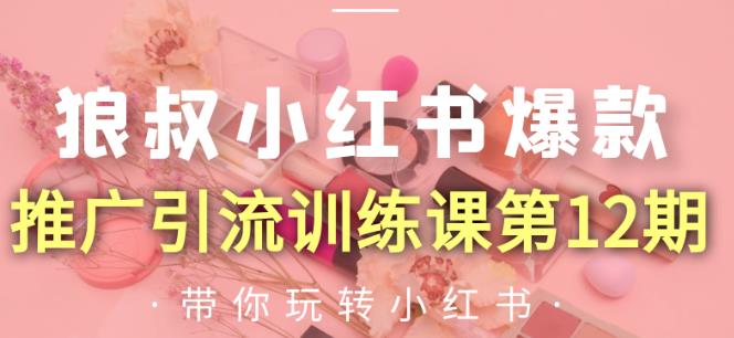 狼叔小红书爆款推广引流训练课第12期，手把手带你玩转小红书-如意资源库