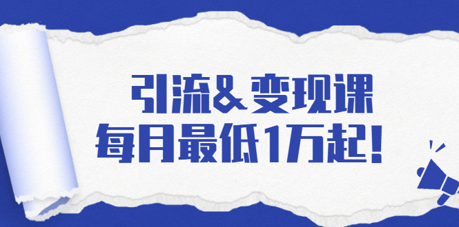 引流&变现课：分享一整套流量方法以及各个渠道收入，每月最低1万起！-如意资源库