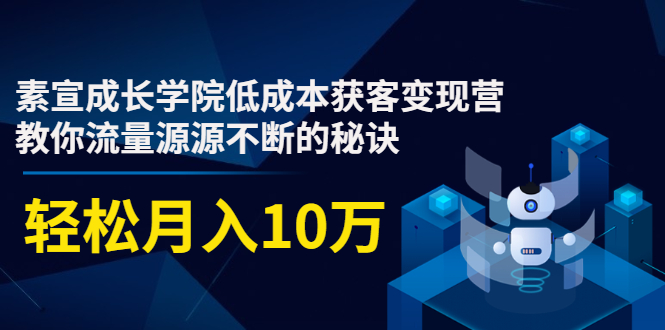 素宣成长学院低成本获客变现营，教你流量源源不断的秘诀，轻松月入10万-如意资源库