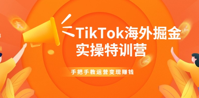 TikTok海外掘金实操特训营：手把手教运营变现赚钱-如意资源库