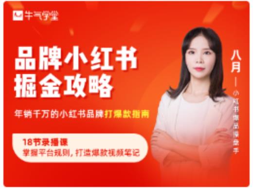 品牌小红书掘金攻略，年销千万的小红书品牌打爆款指南-如意资源库