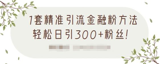 1套精准引流金融粉方法，轻松日引300+粉丝-如意资源库