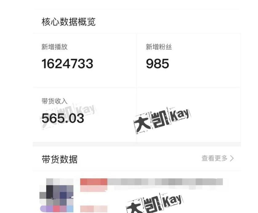 大凯进阶圈新玩法之拼多多视频玩法，利润大概一个号一天能有500~1500的左右!-如意资源库