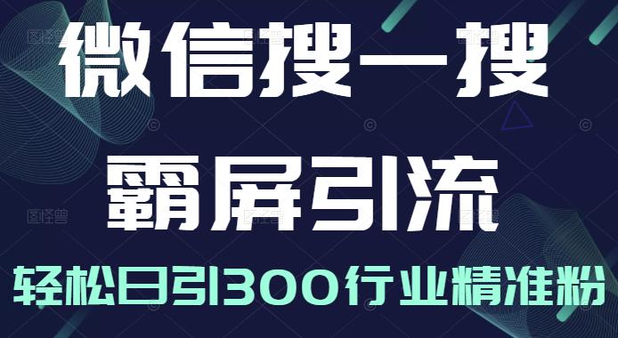 微信搜一搜霸屏引流课，打造被动精准引流系统，轻松日引300行业精准粉-如意资源库