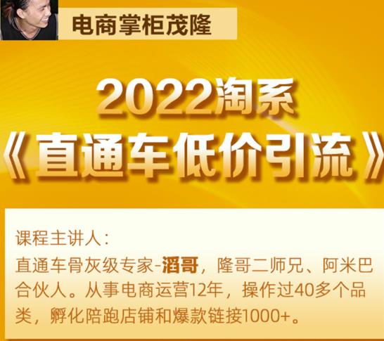 茂隆2022直通车低价引流玩法，教大家如何低投入高回报的直通车玩法-如意资源库