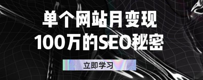 单个网站月变现100万的SEO秘密，百分百做出赚钱站点-如意资源库