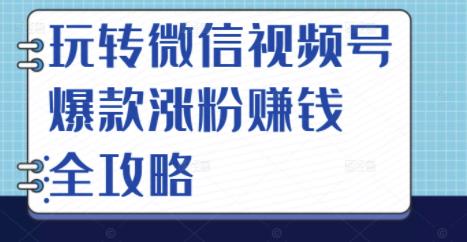 玩转微信视频号爆款涨粉赚钱全攻略，让你快速抓住流量风口，收获红利财富-如意资源库