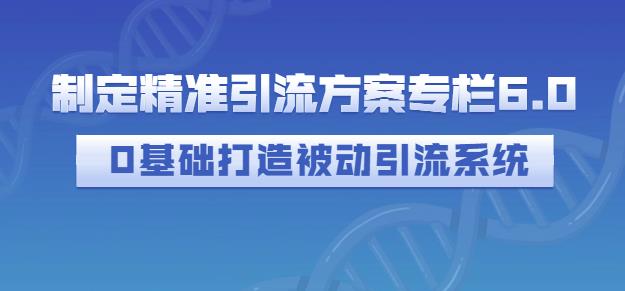 制定精准引流方案专栏6.0，0基础打造被动引流系统-如意资源库