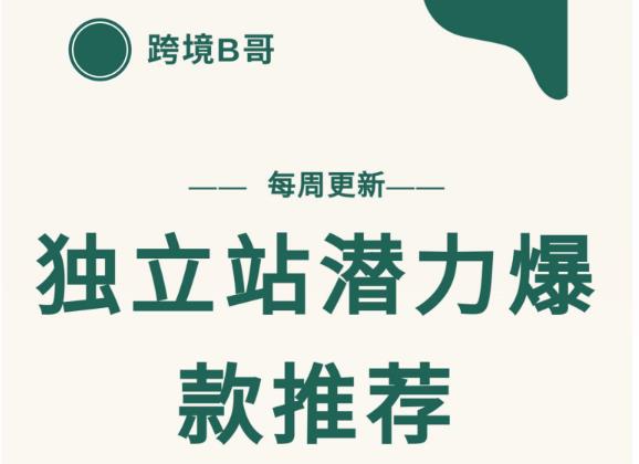 【跨境B哥】独立站潜力爆款选品推荐，测款出单率高达百分之80-如意资源库