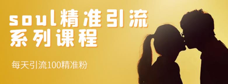 soul精准引流系列课程，每天引流100精准粉-如意资源库