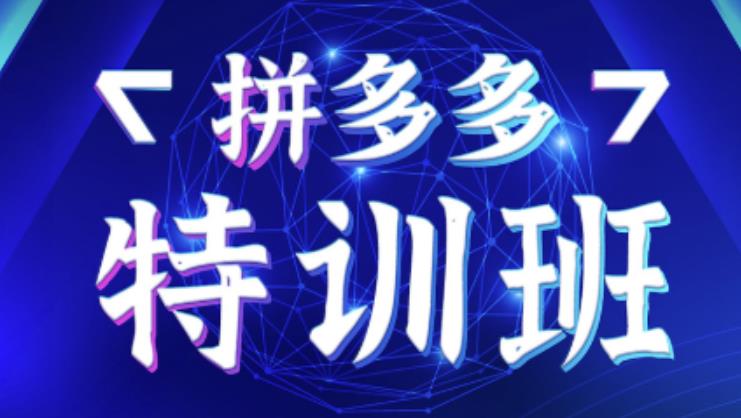 星雪教育·拼多多基础班+进阶班+突破班，用系统的学习模式快速改变现状价值3580元-如意资源库
