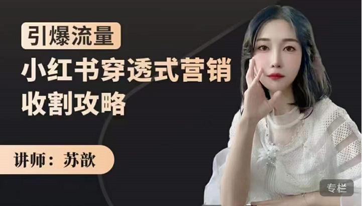 苏歆：小红书穿透式营销收割攻略，引爆流量，助你玩转小红书-如意资源库