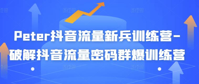Peter抖音流量新兵训练营-破解抖音流量密码群爆训练营（新兵）-如意资源库