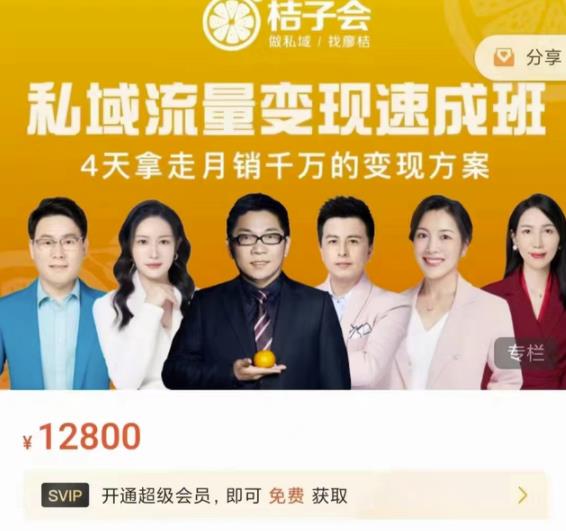 桔子会·私域流量变现速成班，4天拿走月销千万的变现方案 价值12800元-如意资源库