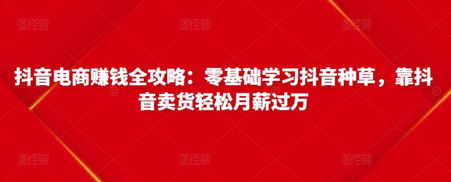 抖音电商赚钱全攻略：零基础学习抖音种草，靠抖音卖货轻松月薪过万-如意资源库