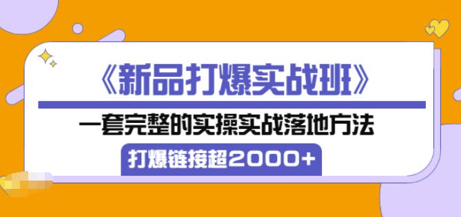 凌童《新品打爆实战班》,一套完整的实操实战落地方法，打爆链接超2000+（28节课)-如意资源库