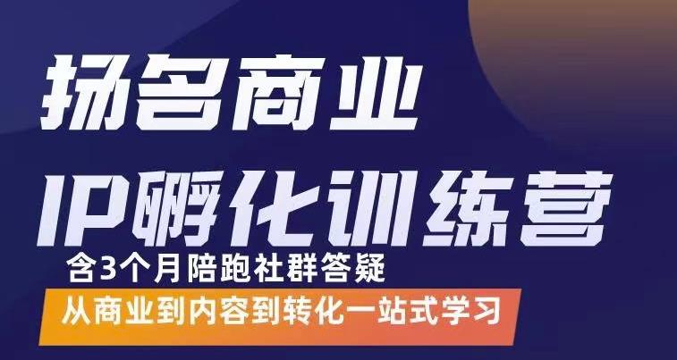 杨名商业IP孵化训练营，从商业到内容到转化一站式学 价值5980元-如意资源库