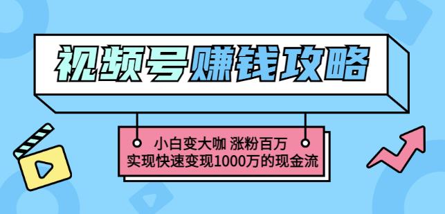 玩转微信视频号赚钱：小白变大咖涨粉百万实现快速变现1000万的现金流-如意资源库