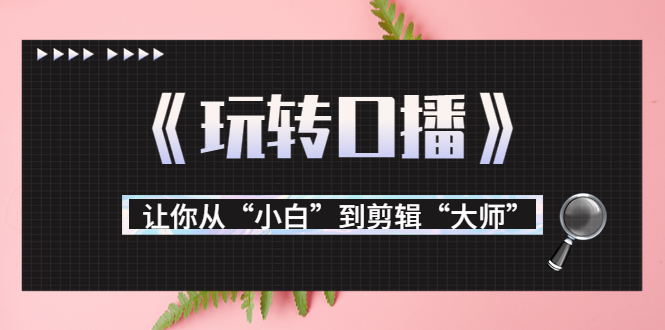 月营业额700万+大佬教您《玩转口播》让你从“小白”到剪辑“大师”-如意资源库