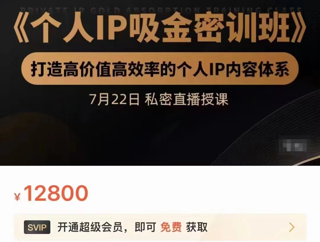 个人IP吸金密训班，打造高价值高效率的个人IP内容体系（价值12800元）-如意资源库