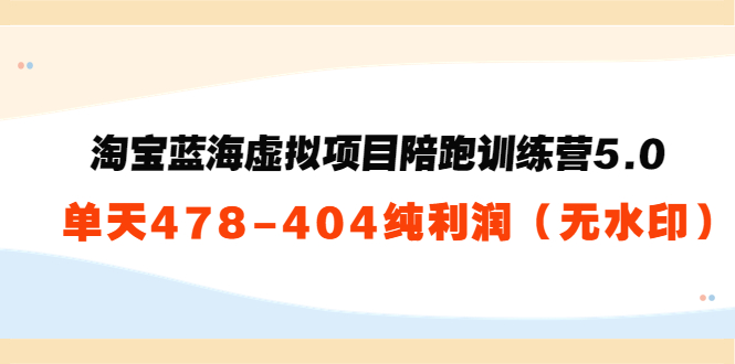 淘宝蓝海虚拟项目陪跑训练营5.0：单天478纯利润-如意资源库