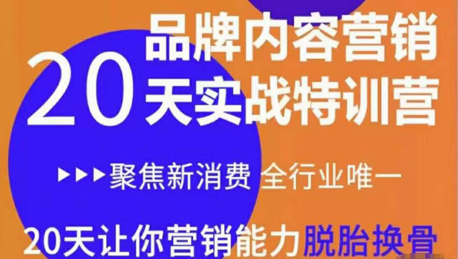 《内容营销实操特训营》20天让你营销能力脱胎换骨（价值3999）-如意资源库