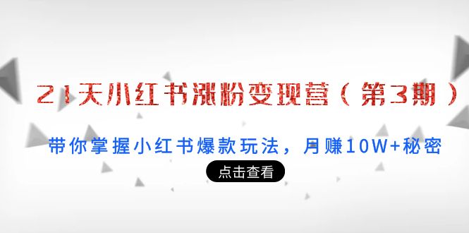 21天小红书涨粉变现营（第3期）：带你掌握小红书爆款玩法，月赚10W+秘密-如意资源库