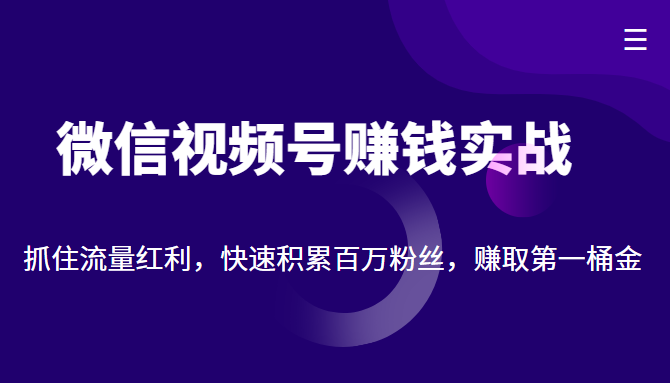 微信视频号赚钱实战：抓住流量红利，快速积累百万粉丝，赚取你的第一桶金-如意资源库