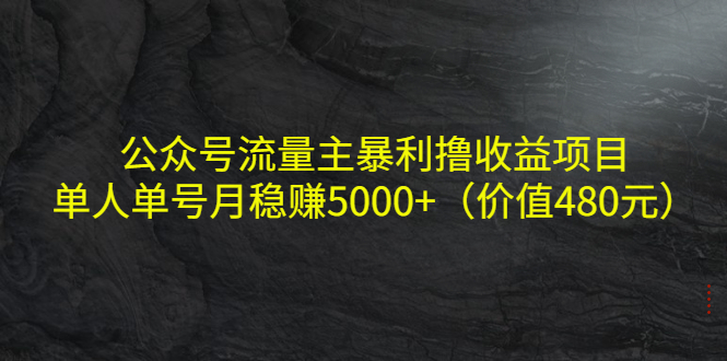 公众号流量主暴利撸收益项目，单人单号月稳赚5000+（价值480元）-如意资源库