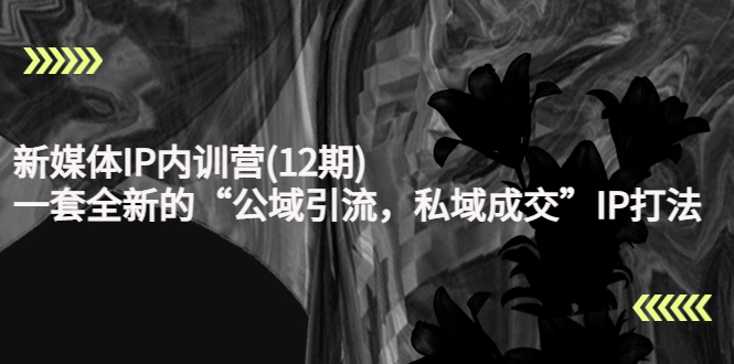 新媒体IP内训营(12期)，一套全新的“公域引流，私域成交”IP打法，直接带走-如意资源库