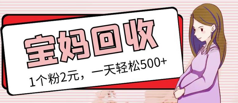 最新小红书母婴号宝妈粉回收项目，1个粉2元，一天轻松500+案例分享【粉丝包回收】-如意资源库