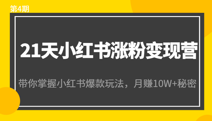 21天小红书涨粉变现营（第4期）：带你掌握小红书爆款玩法，月赚10W+秘密-如意资源库