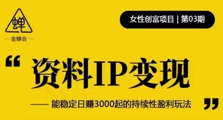 资料IP变现，能稳定日赚3000起的持续性盈利玩法-如意资源库