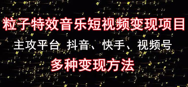 黄岛主《粒子特效音乐短视频变现项目》主攻平台抖音、快手、视频号多种变现方法-如意资源库