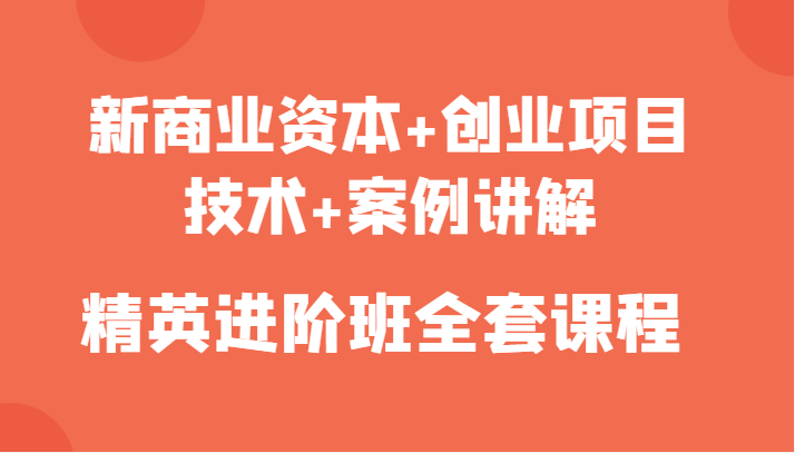新商业资本+创业项目，技术+案例讲解，精英进阶班全套课程-如意资源库