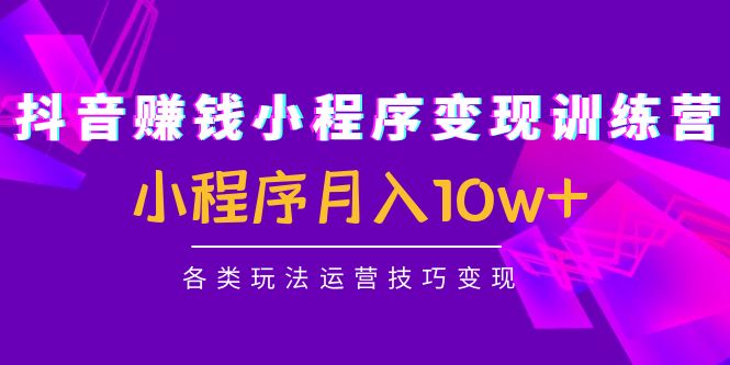 抖音赚钱小程序变现训练营：小程序月入10w+各类玩法运营技巧变现-如意资源库