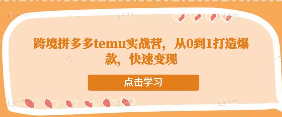 跨境拼多多temu实战营，从0到1打造爆款，快速变现-如意资源库