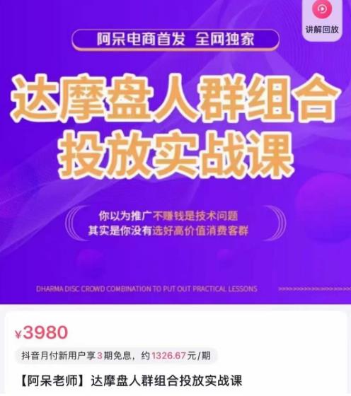 阿呆电商·达摩盘人群组合投放实战课，你以为推广不赚钱是技术问题，其实是你没有选好高价值消费客群-如意资源库