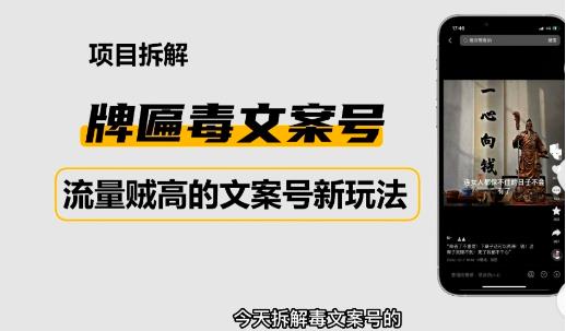 2023抖音快手毒文案新玩法，牌匾文案号，起号快易变现-如意资源库