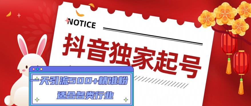 抖音独家起号，一天引流500+精准粉，适合各类行业（9节视频课）-如意资源库
