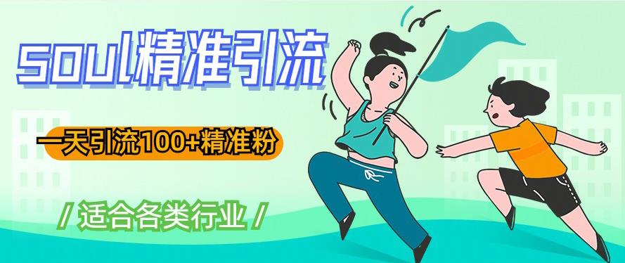 soul精准引流系列课程，一天引流100+精准粉，适合各类行业-如意资源库