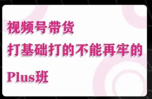 大播汇·视频号带货Puls班，视频号底层逻辑，起号自然流鱼塘等玩法-如意资源库